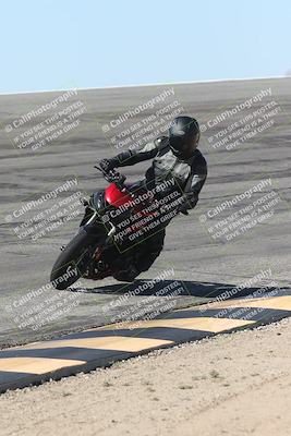 media/Oct-13-2025-Moto Forza (Mon) [[a66d839500]]/4-C Group/Session 2 (Bowl)/